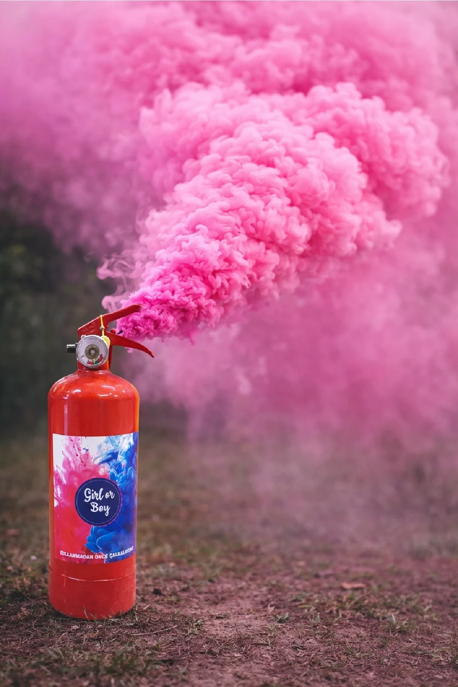 Cinsiyet Öğrenme Duman Tüpü Girl or Boy Pembe Mavi Seçenekli Gender Reveal gorsel 3