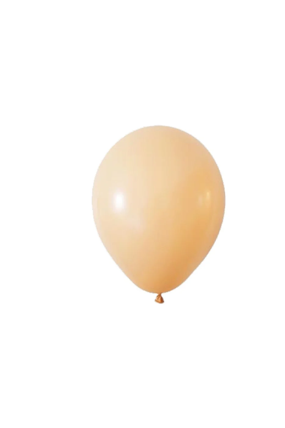 Pastel Somon Balon 10 Adet gorsel 4